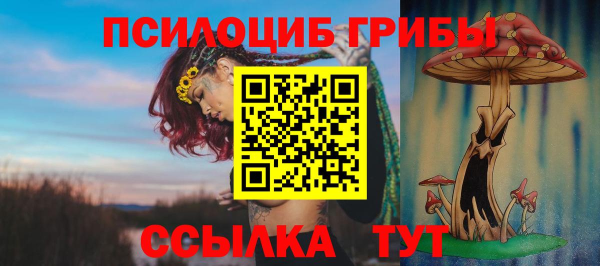 Галлюциногенные грибы MAGIC MUSHROOMS Ивантеевка
